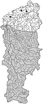 ����� ����