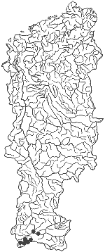 ����� ������ ����