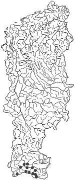 ����� ������ ����