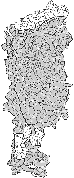 ����� ����