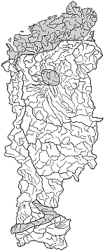 ����� ����