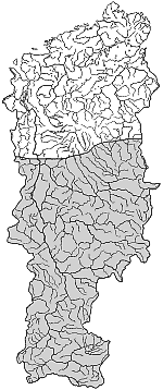 ����� ����