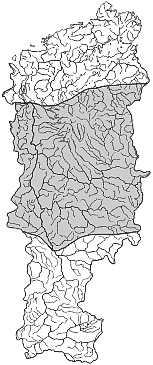 ����� ����