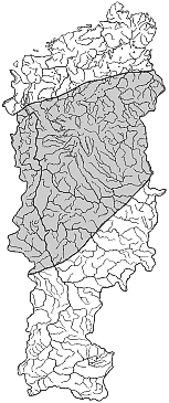 ����� ����