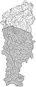 ����� ����