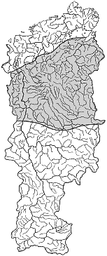 ����� ����