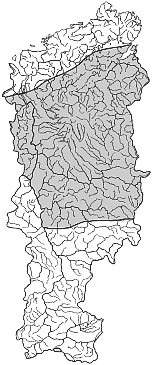 ����� ����