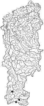 ����� ������ ���� � ������� ������