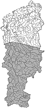 ����� ���� � ������� ������