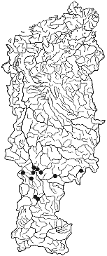 ����� ������ ����