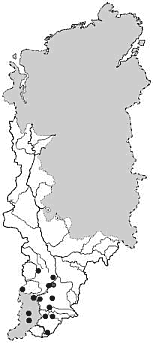 ����� ������ � ������������ ���� � �������