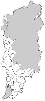 ����� ������ ����