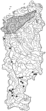 ����� ���� � ����� ������