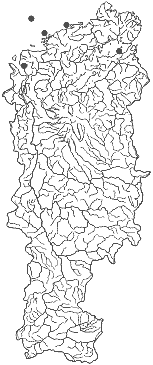 ����� ������ ����