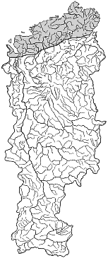 ����� ����