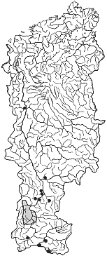 ����� � ����� ������ ����