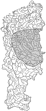 ����� ����