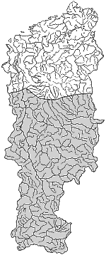 ����� ����